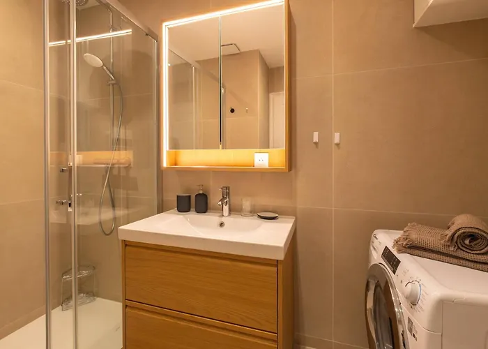 Apartament Elegant 1 Bedroom - Palais Royal 2